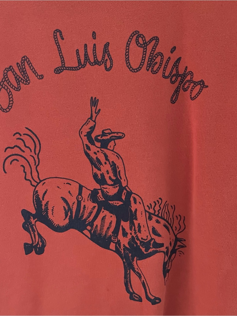 Men's Rust San Luis Obispo Graphic crew neck - Picture 2 of 3